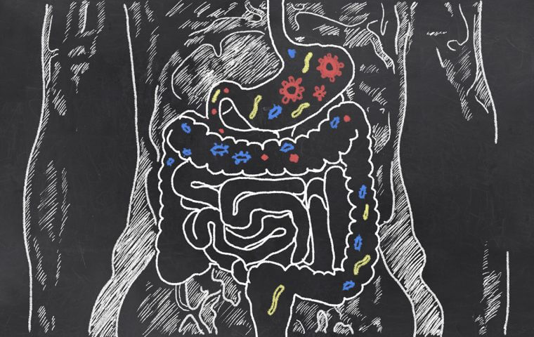 Los probióticos ayudan con la buena salud digestiva